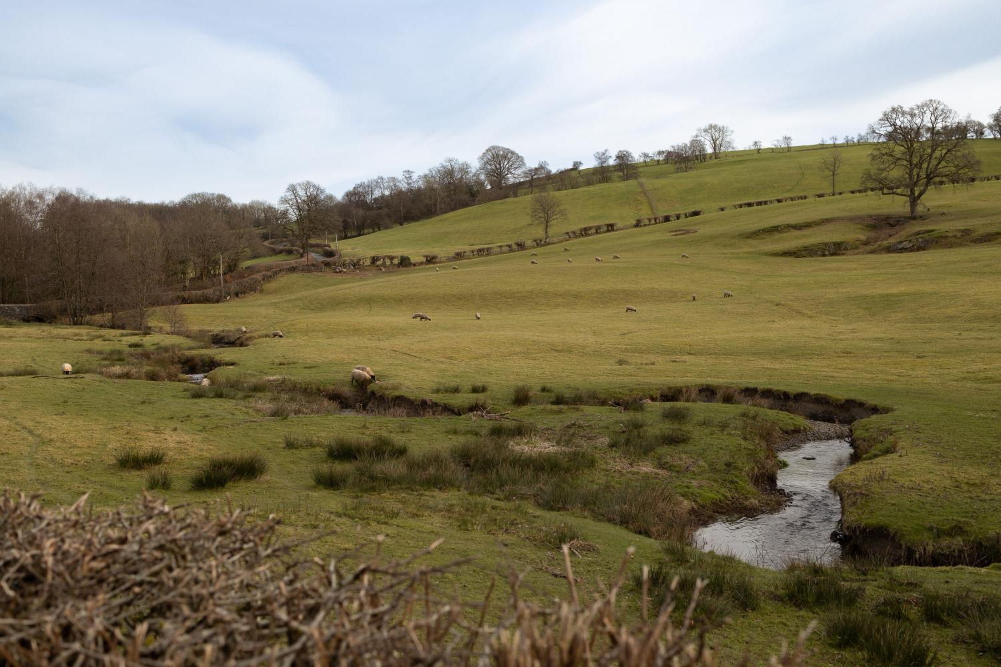 Brecon Beacons Cottage With Stunning Country Views Myddfai ภายนอก รูปภาพ