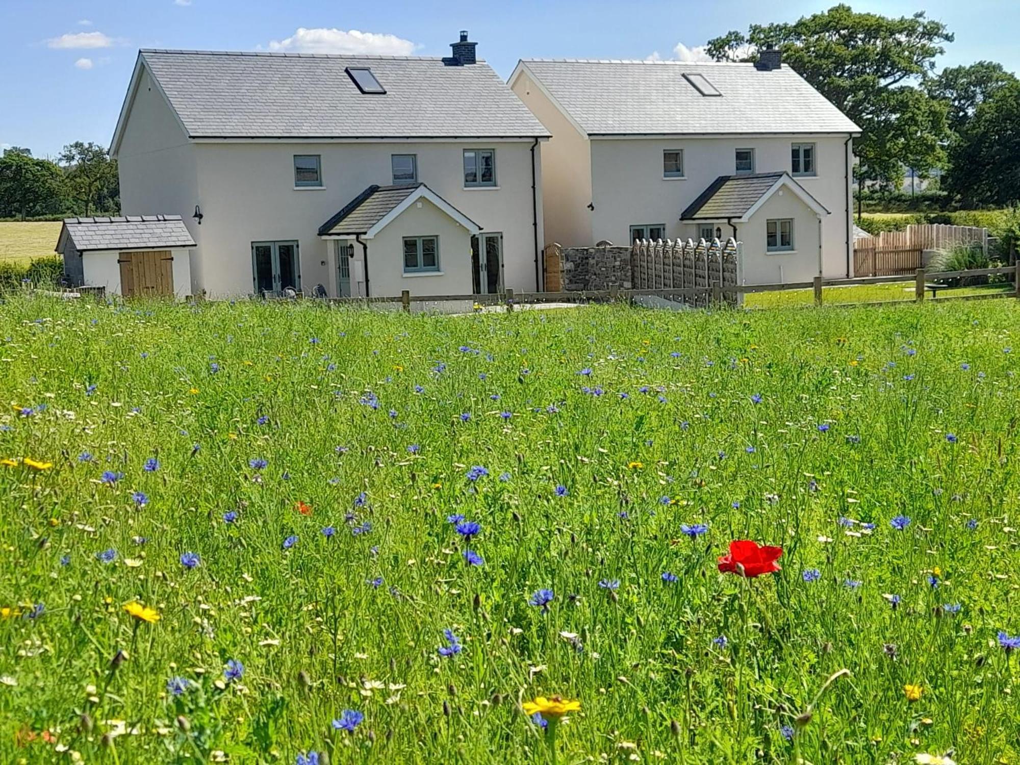 Brecon Beacons Cottage With Stunning Country Views Myddfai ภายนอก รูปภาพ
